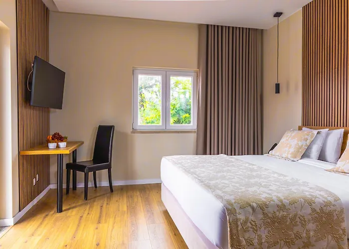 酒店 卡尔达斯酒店 3*